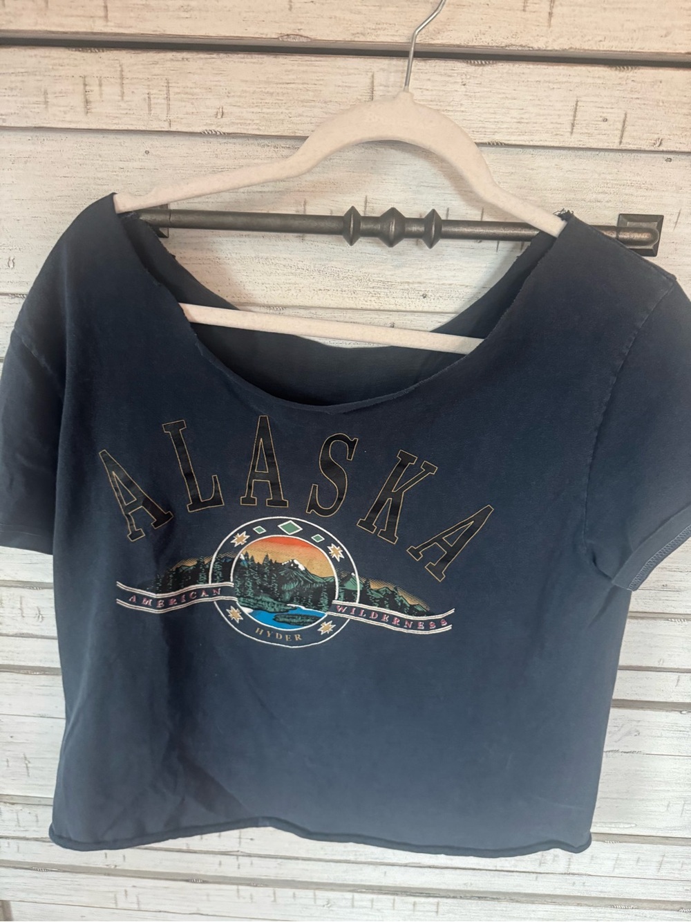 Brandy Melville Navy Alaska Graphic Crop Top